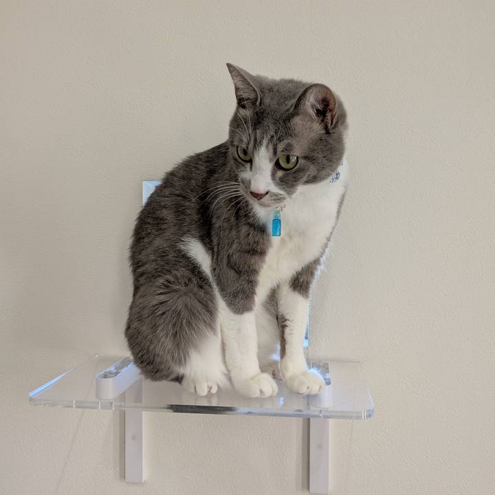 D49ced98 5567 4698 91dd f76b5b71e481 1733809730038