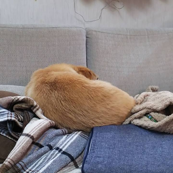 D49d8914 433e 43d6 a206 ef9d837aa417 1553952533642