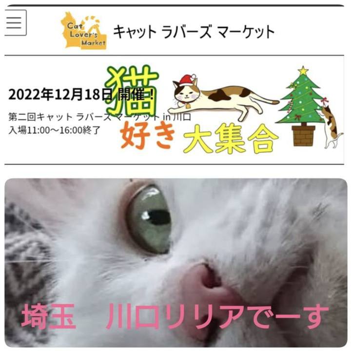 D49ddb92 5c1b 42cc ac42 9d69722451bc 1671069552193
