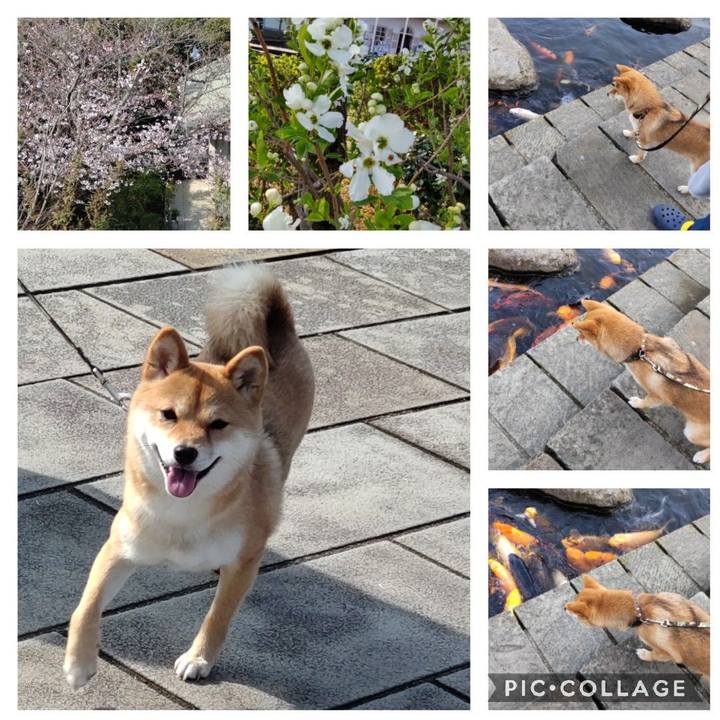 D49de400 fe9d 4d19 b37a b98eb1f6b43e 1648217476087