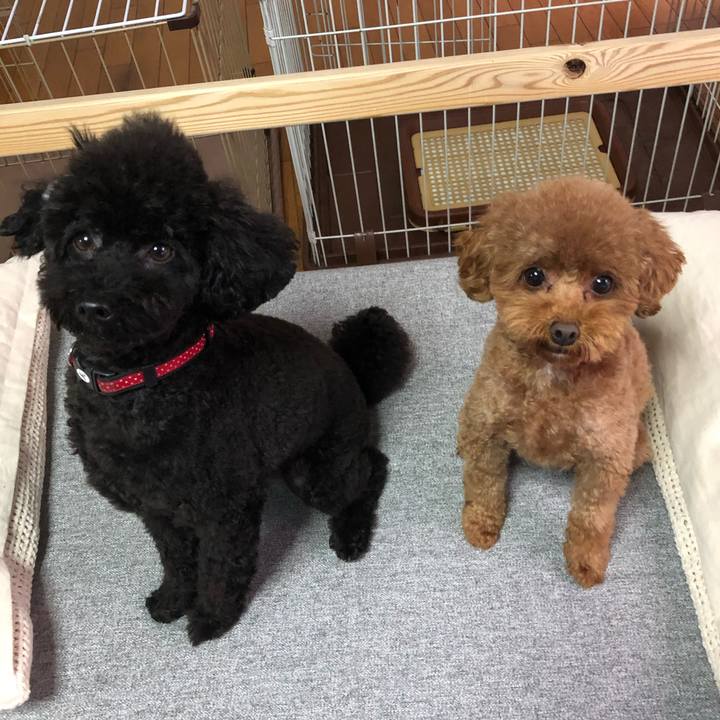 D49ded6e 6a64 4797 830a 97cc4ce6b5b0 1574722844397