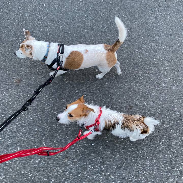 D49df41a 9640 42f3 ab4f 55ff38b14030 1634160418985