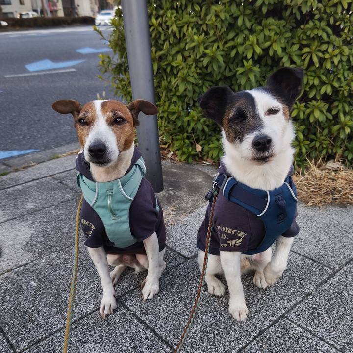 D49e01c5 9227 47a6 99f7 2dfbf6ba5cbc 1740874956694