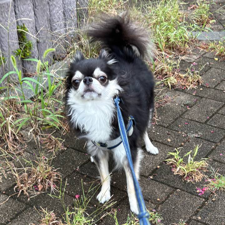 D49e1f25 a43e 4d0a 9dec f9f293c1fcca 1758387207627