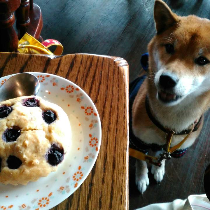 D49e252d d248 4532 a08b c88a01c62a9d 1512291503893