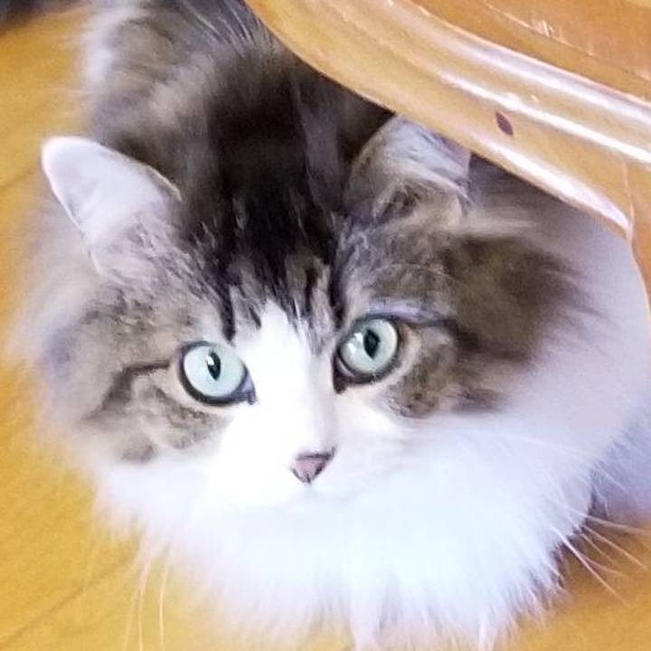 D49e5a76 a089 4252 aa5f ef32316f4840 1585363635799