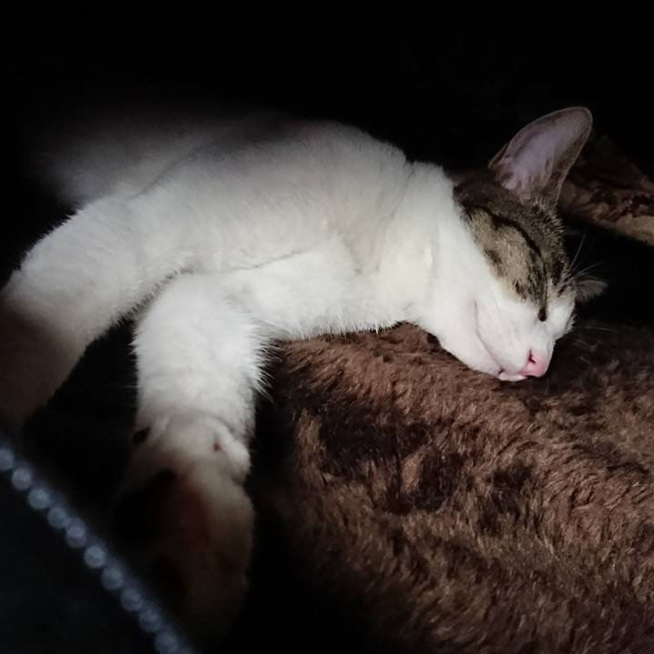 D49ea9d3 a179 48ca bd53 942f8a6fc956 1509863181184