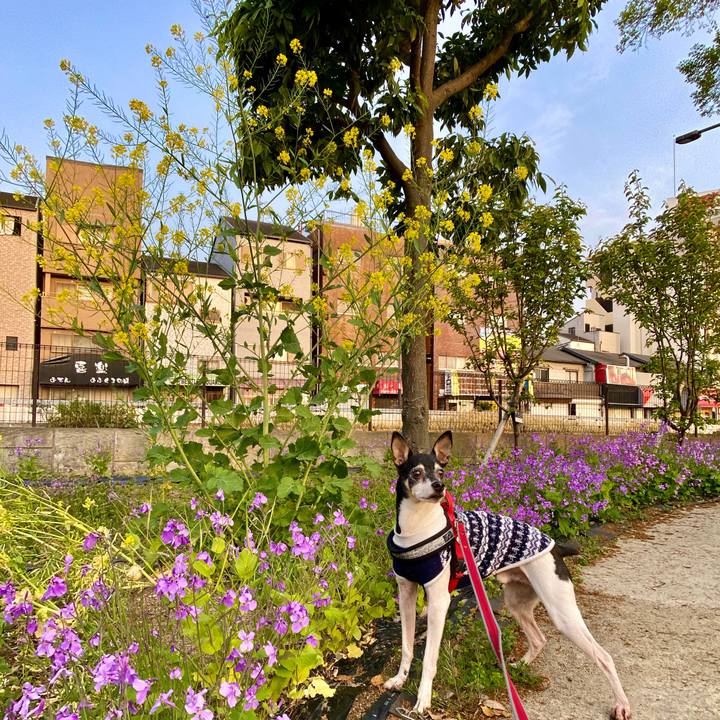 D49ecbc3 6206 4f8d 93ce f7f3a5d207c8 1587094423771