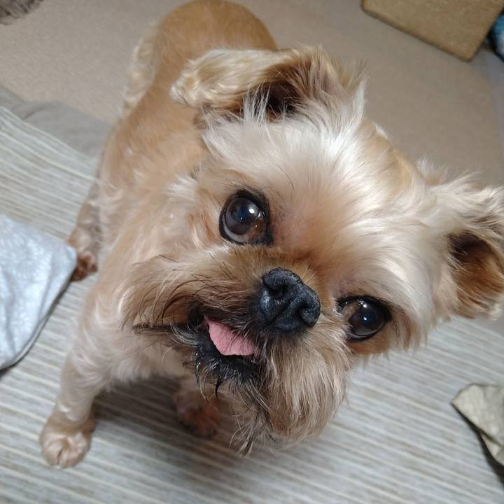 D49ecee0 266c 435f a979 ba0706aebdf2 1623286562242