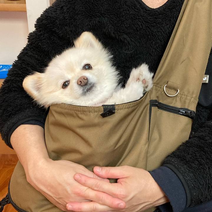 D49efec1 8d69 43a8 8d75 f96b09f6a14c 1678191056728