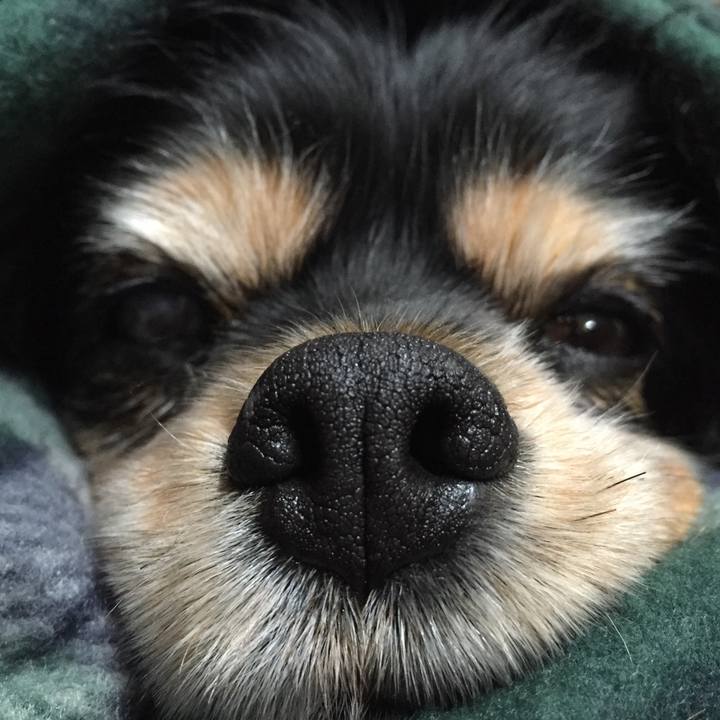 D49f0840 6979 43cb 8e7f b11c007b4247 1515246289283