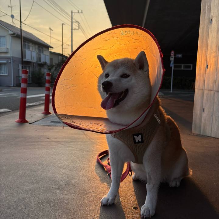 D49f5769 90df 4c13 b722 f3a09e9014f5 1756500876764