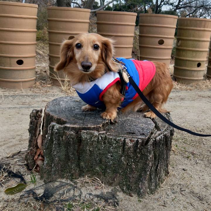 D49f59e7 dd58 4f7d bd04 fabe56adcb46 1706690966127