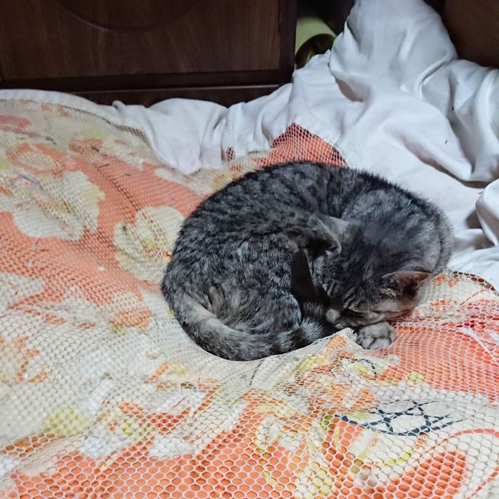 D49fc581 3219 4f4b b488 7ac1ebc43e5e 1606131805211