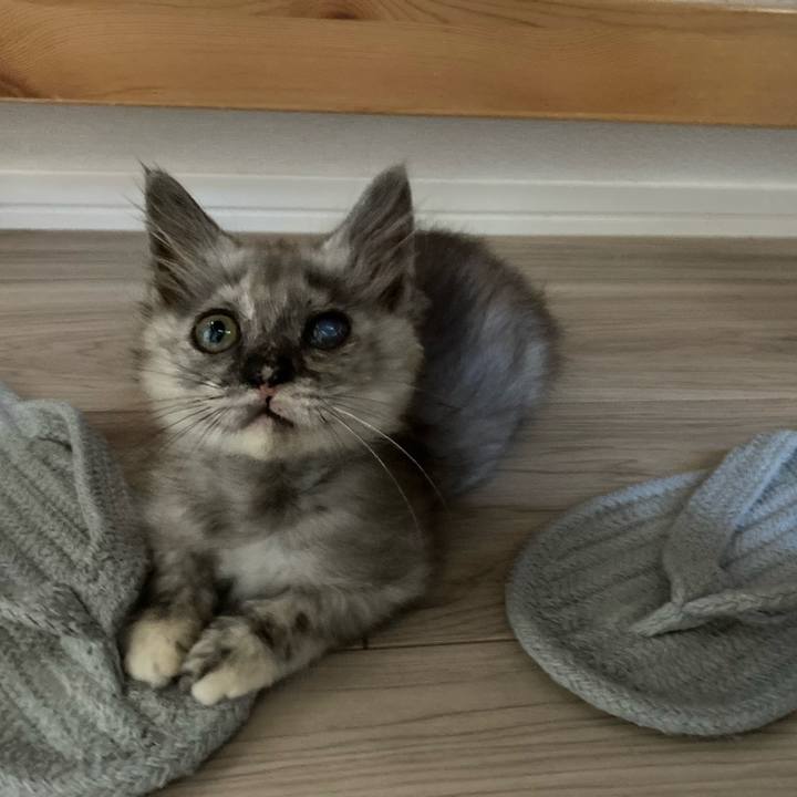 D49fc80f b6e3 4188 befc 57e7a3b67d9c 1690954643591