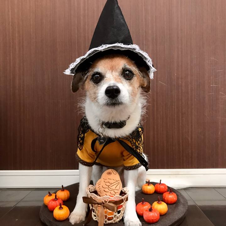 D49fe842 3842 4c8e ae60 30b6029d65b9 1604098843742