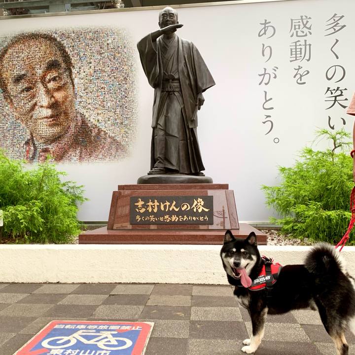 D4a08272 7e22 42aa 8b33 68533241f84f 1686404070778