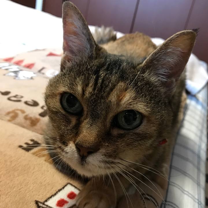 D4a09df9 ad7a 435c 937b c31fd336778a 1528924998289