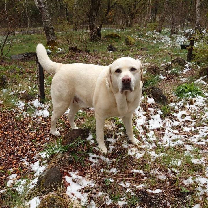 D4a0aa53 0f60 462d 8ed9 9dcade970b2e 1715253741867