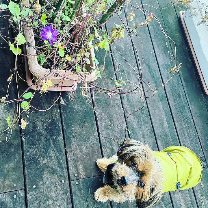 D4a0aef2 62ee 41c2 a2a1 848f00f0026d 1668553466768