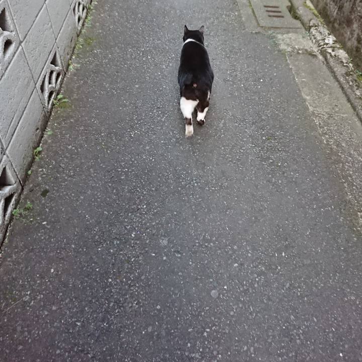 D4a10a1b b52b 4935 b8a4 ddd0c3a981ea 1584448815659