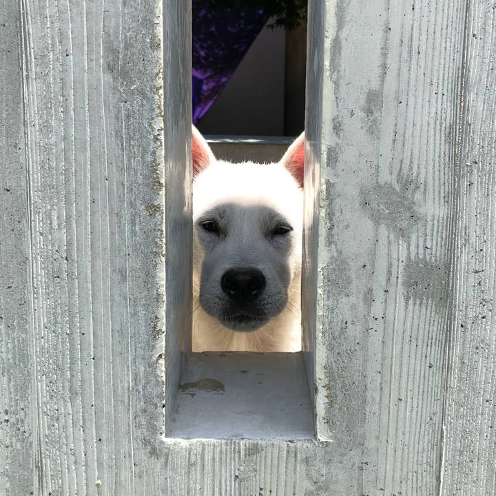 D4a11e87 6826 49a1 ab4c 98c711d148b8 1534113194377