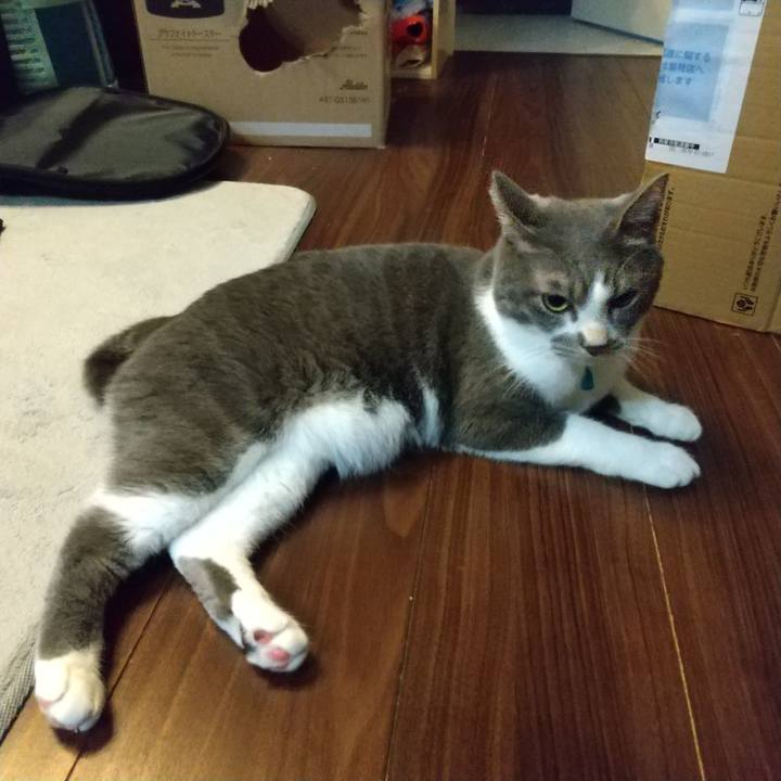 D4a14140 d3df 41e8 b6f6 e14056aa8d4f 1638398391079