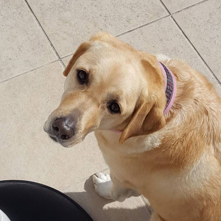 D4a17013 913c 4344 8054 efda3a67d153 1519137605059