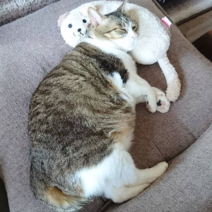 D4a1c520 22c7 44e1 9823 af58b9f3a7d5 1561191038313