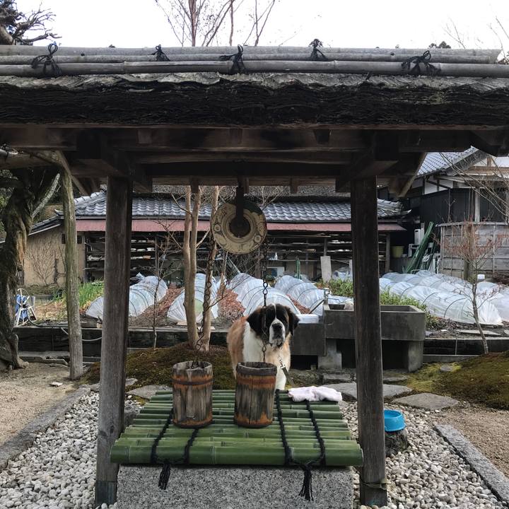 D4a1d59d 2036 4fa5 9c02 4b38922310ef 1514769120702