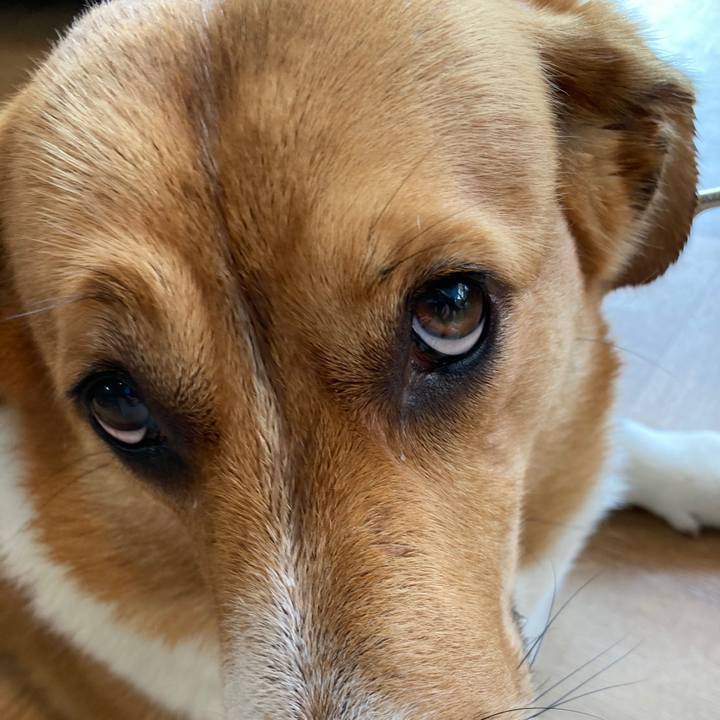 D4a1d7c4 431e 40ff 9c27 baec1c7dd142 1691898267398