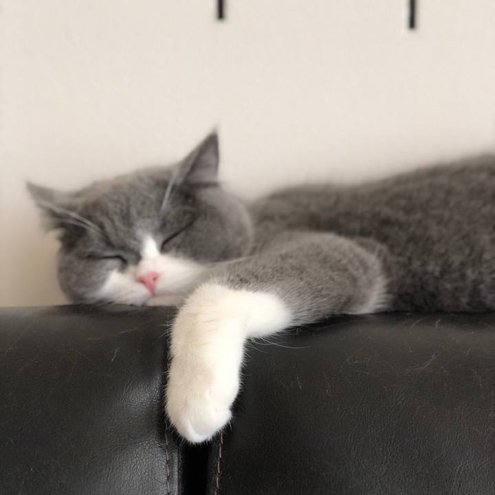 D4a1dba1 a216 4cfa b6e1 29c2eaa50eb0 1514599496116