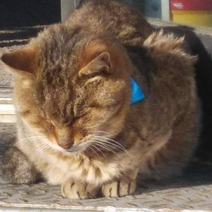 D4a1e114 01e2 481b 938b 2a7848bacd23 1640053380529