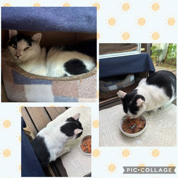 D4a1f549 d582 411b 8839 17912f971ecb 1763248251177