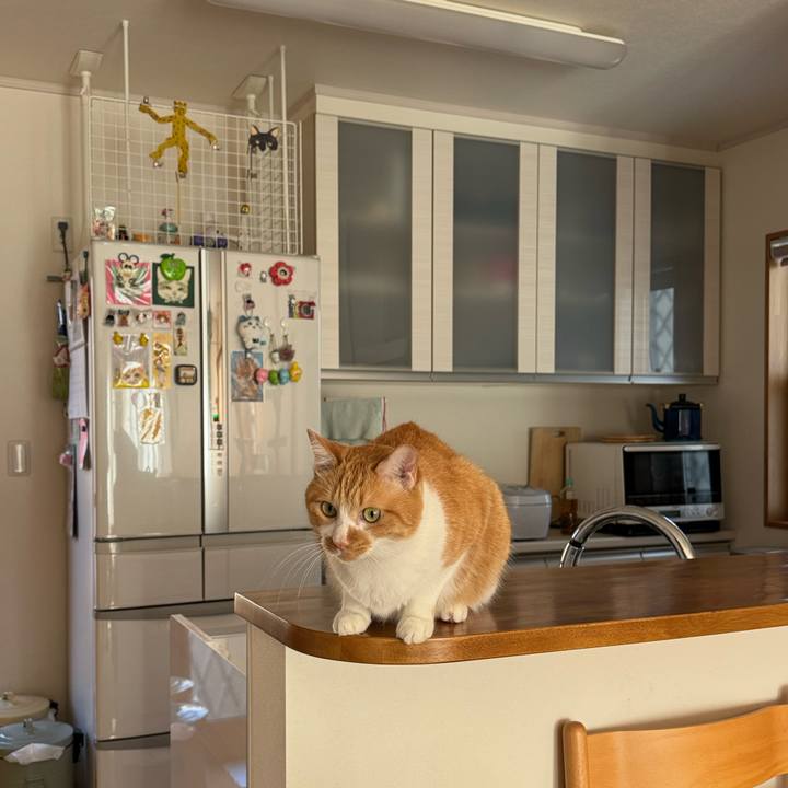 D4a24a92 27b3 45b1 b151 2702e174ef5e 1764126194924