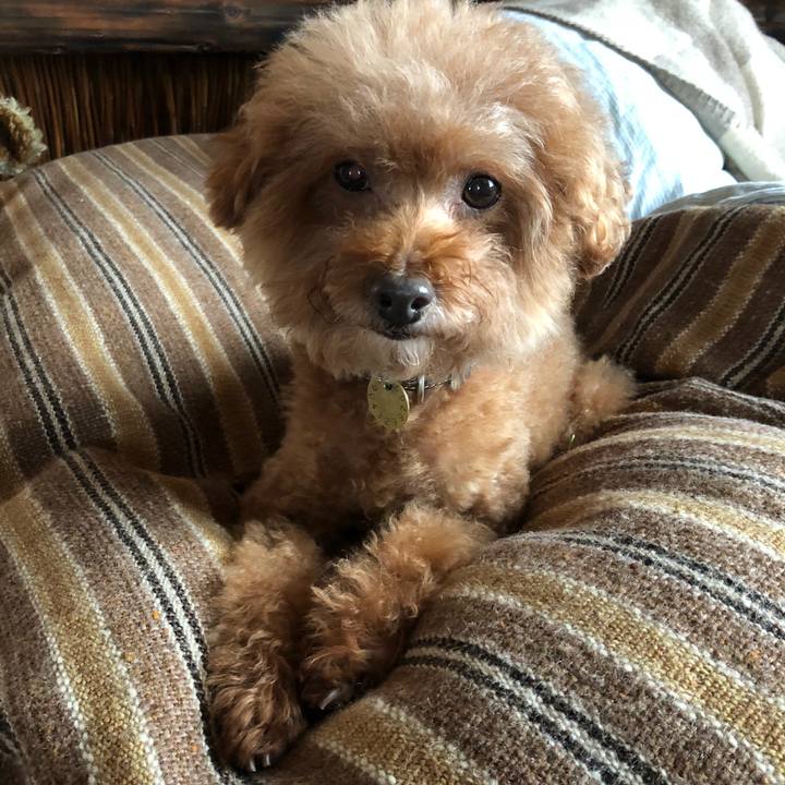 D4a2595c bec1 454f bbb7 32a17a309a1b 1581165422795