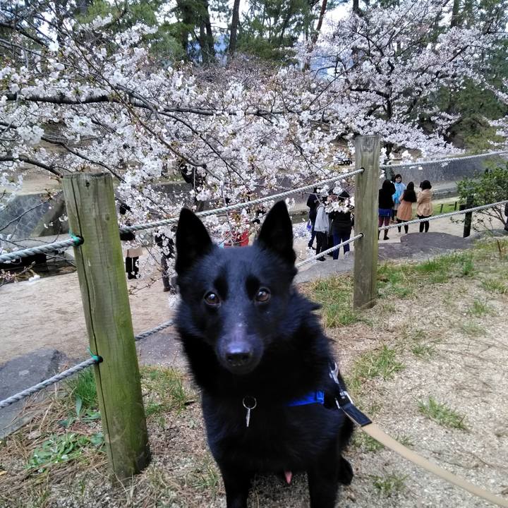 D4a27df7 adba 4079 9559 424464cffbb6 1554017925987