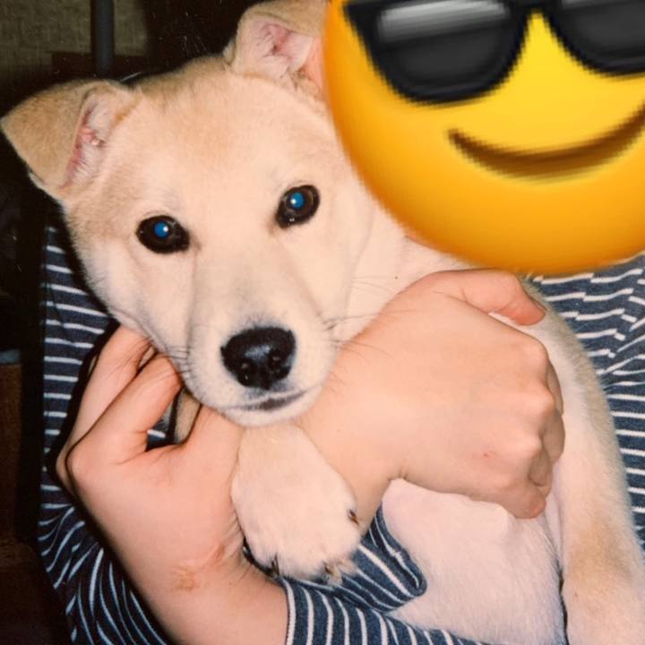 D4a2ace9 25c3 4b5b ab1e 0fc69dd839fb 1570533766401