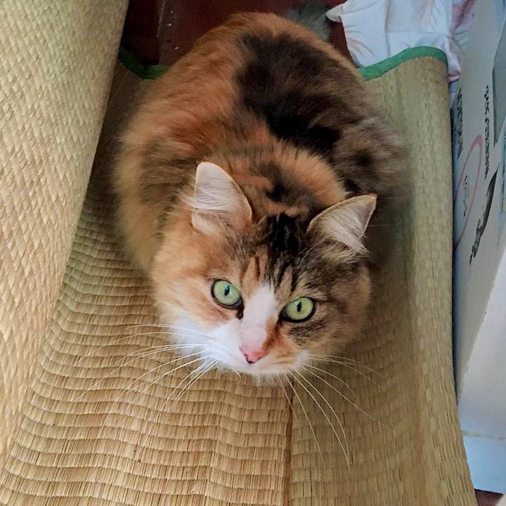 D4a33275 d6b0 442b 93a4 7d6b3bd0f1a0 1612481568813