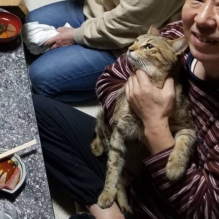 D4a3919b a275 4e4c 82c9 69958b2da748 1641303612254