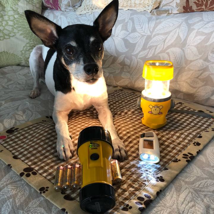 D4a392b1 6775 4d27 8b6d 46dc788c3c6b 1538189307694