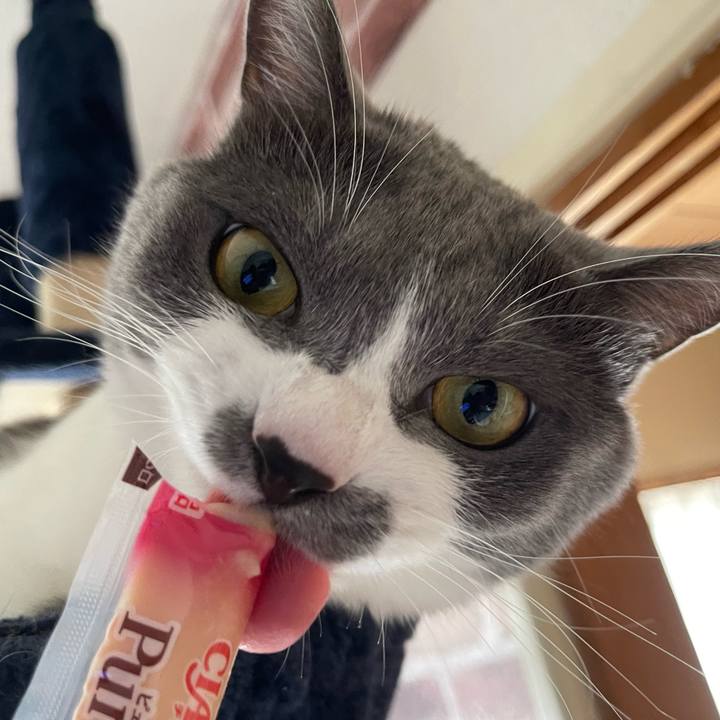 D4a3dadb 6bd7 43bd b1e9 7a5d7b3ca0dc 1661497221635