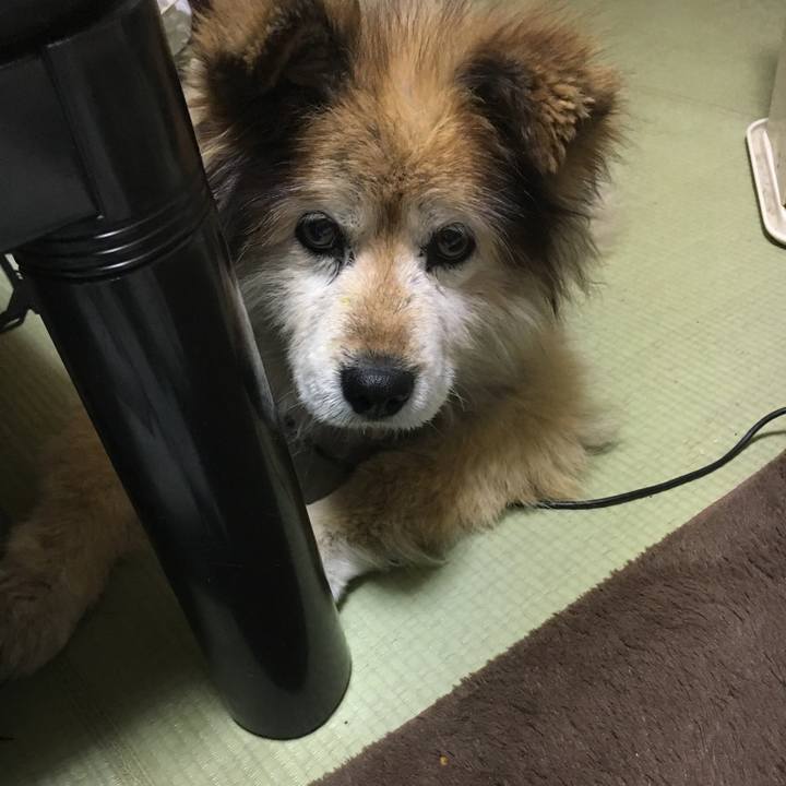 D4a40d60 4bb3 4a6d bb3d 87e95266cd4b 1611032079128