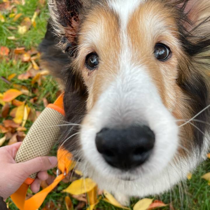 D4a42219 a6e2 4e38 ad8a 3eccd8e39596 1636265342040