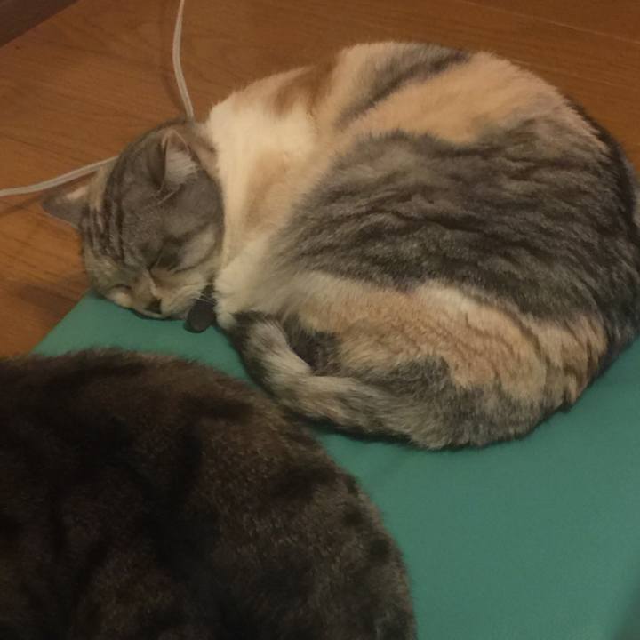 D4a424d0 8e72 412f 83a2 71fc3ec6096f 1552489665583