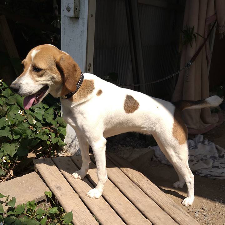 D4a451c2 3258 4583 b785 6858740f78c9 1623398361351