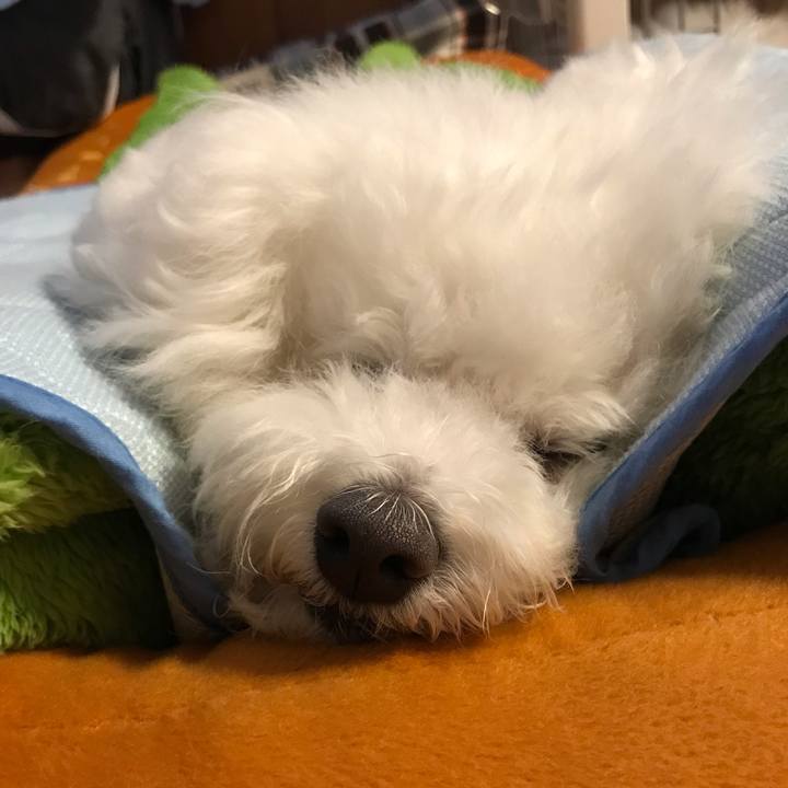 D4a46a9c 0451 48e7 a4c0 cd2c012df87d 1559871968914