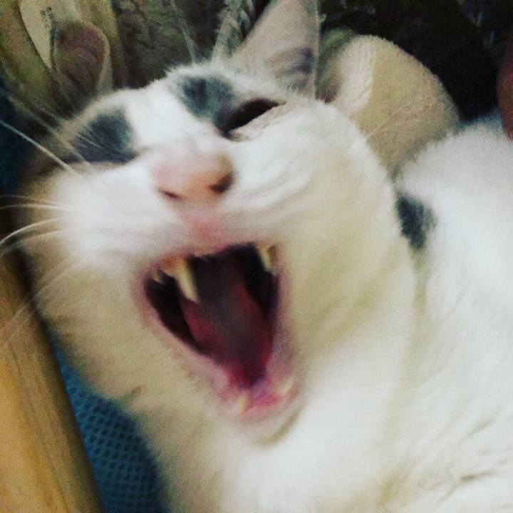 D4a474e2 ce7c 4747 a6e8 e251b7d6e18d 1556473350316