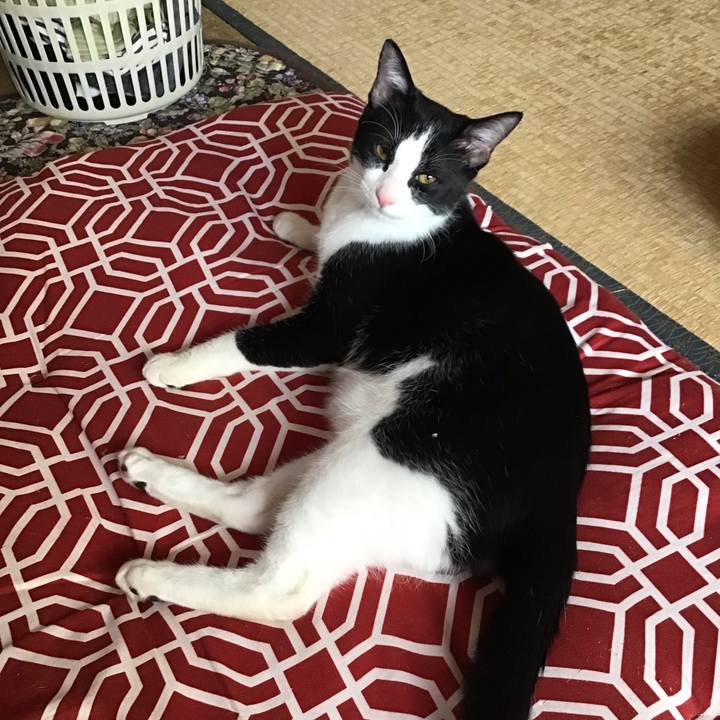 D4a4a044 0be3 4a51 ba74 692fb374db8c 1634805989956