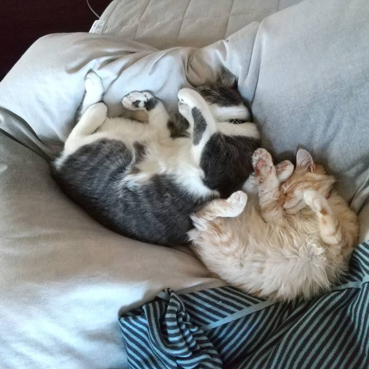 D4a4b111 7d5f 461e bce4 ebc8edacc21f 1612655974783